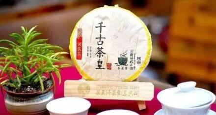 茶莫停怎么样？加盟怎么样？